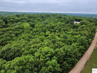 This is the perfect 15 acre piece to build your dream home of - photo 4