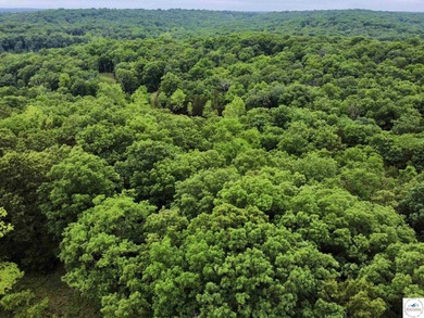 This is the perfect 15 acre piece to build your dream home of - photo 5