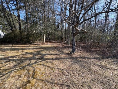 Charming cottage retreat nestled on nearly 3 acres of peaceful - photo 17