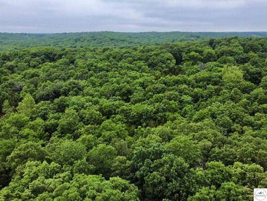 This is the perfect 15 acre piece to build your dream home of - photo 7
