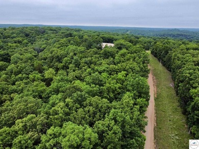 This is the perfect 15 acre piece to build your dream home of - photo 8