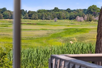 ONE OF ORLEANS MOST SPECTACULAR MARSH SETTINGS. Set above the - photo 6