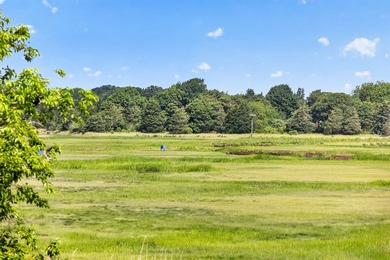 ONE OF ORLEANS MOST SPECTACULAR MARSH SETTINGS. Set above the - photo 7