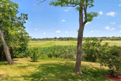 ONE OF ORLEANS MOST SPECTACULAR MARSH SETTINGS. Set above the - photo 8