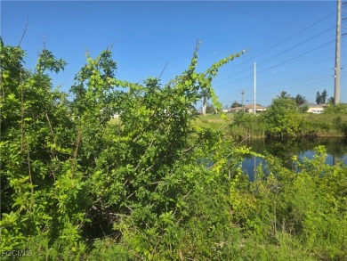 Lake Lot For Sale in Cape Coral, Florida