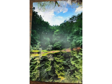 Lake Acreage For Sale in Marion, Virginia