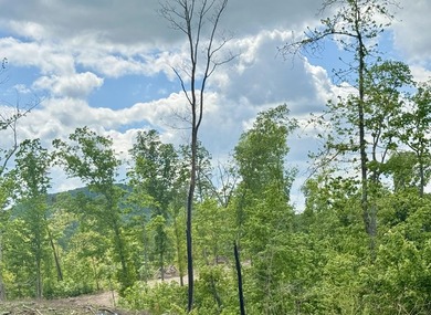 An exceptional opportunity to build your dream home in coveted - photo 4