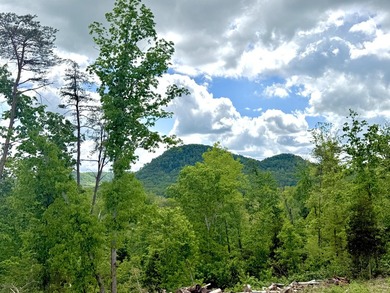 An exceptional opportunity to build your dream home in coveted - photo 10