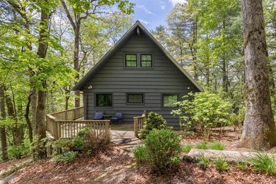 Experience elevated mountain living in this beautifully restored - photo 1