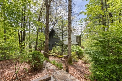 Experience elevated mountain living in this beautifully restored - photo 2