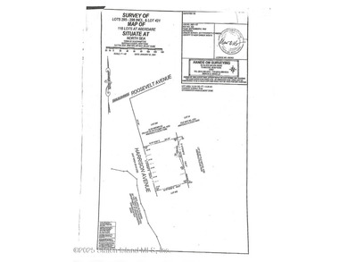 LAND FOR SALE: 125' X 101' (.29 acres) build-able flat parcel of - photo 1