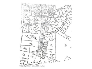 LAND FOR SALE: 125' X 101' (.29 acres) build-able flat parcel of - photo 2