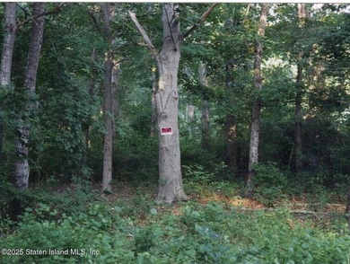 LAND FOR SALE: 125' X 101' (.29 acres) build-able flat parcel of - photo 3