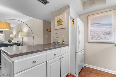 This waterfront 2 bedroom/2 bath condo with an association-owned - photo 11