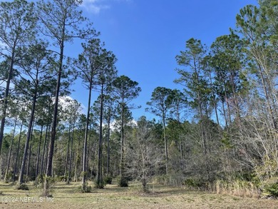 WELCOME HOME to this stunning 3.86 acre lot in the - photo 11