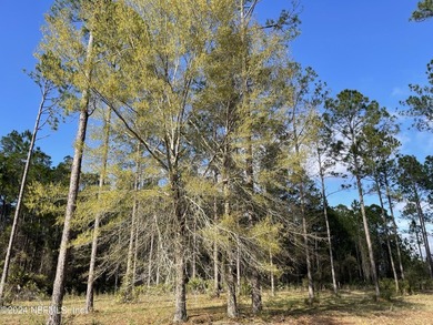 WELCOME HOME to this stunning 3.86 acre lot in the - photo 18