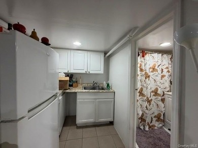 LOCATION! LOCATION! LOCATION! Welcome to 1656 Zerega Ave, Bronx - photo 31