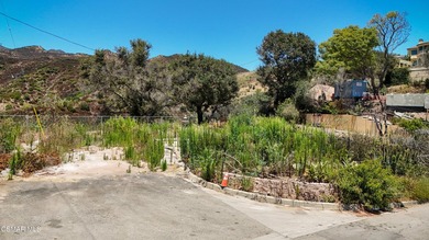 Once upon a time, a beautiful 2,500 SF home with a spacious deck - photo 5