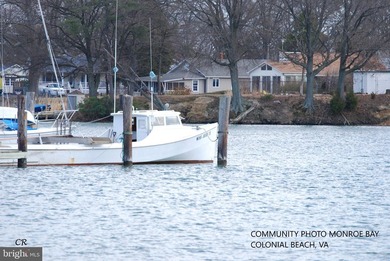 LOWERED PRICE!! Come enjoy life at its best in quaint riverfront - photo 44