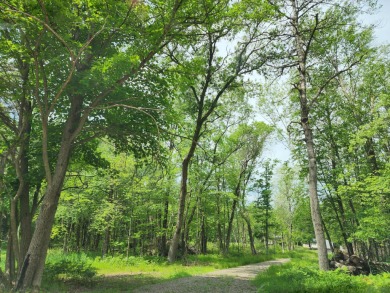 (private lake, pond, creek) Acreage For Sale in Friendship Wisconsin