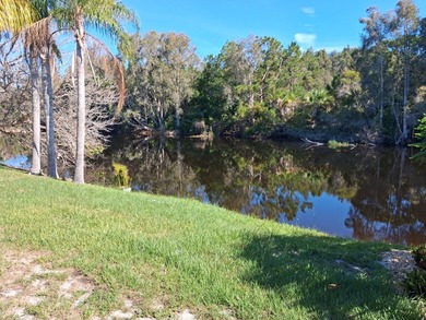 WATERFRONT - 2 Bedroom / 2 Bath home located in the pet-friendly - photo 5