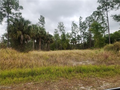 Lehigh Acres Area Lot For Sale in Lehigh Acres Florida