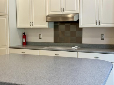 Welcome to 1860 Alexandria Way, a spacious 2,916-square-foot - photo 11