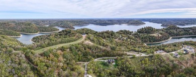 Over 7 acres of unrestricted lake views of Center Hill Lake near - photo 12