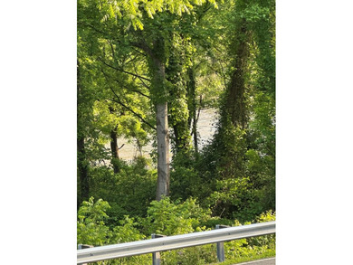 Prime Riverside Property with Endless Potential - Commercial or - photo 18