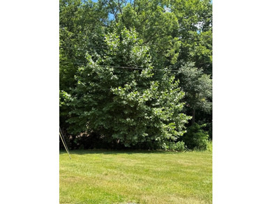 Prime Riverside Property with Endless Potential - Commercial or - photo 22