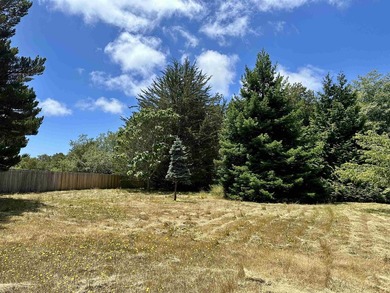 Welcome to 1860 Alexandria Way, a spacious 2,916-square-foot - photo 42