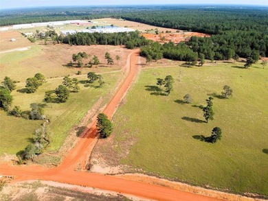 (private lake, pond, creek) Acreage For Sale in Hillister Texas