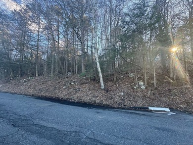 1.18 Acre ,Approximately 201 Ft Road fro . ntage )Lightly wooded - photo 2