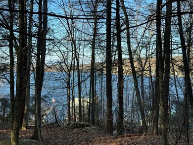 1.18 Acre ,Approximately 201 Ft Road fro . ntage )Lightly wooded - photo 3
