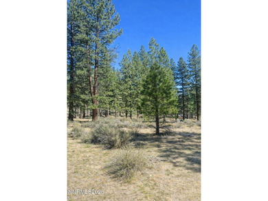 Lake Lot For Sale in Carson City, Nevada