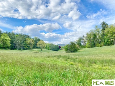Between two mountain ridges lies a broad grassy meadow where - photo 2
