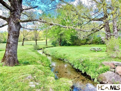 Between two mountain ridges lies a broad grassy meadow where - photo 3