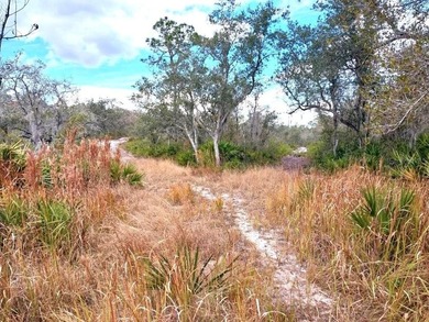 Discover the perfect blend of serene county living and - photo 2