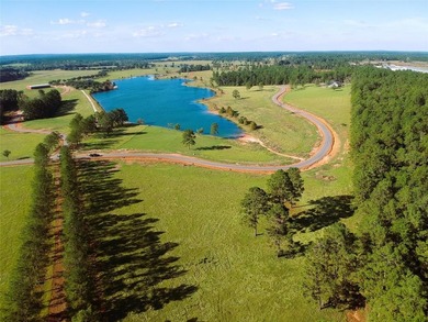 (private lake, pond, creek) Acreage For Sale in Hillister Texas