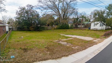 Prime opportunity in Biloxi, MS! This rare double lot is cleared - photo 3