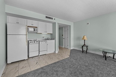 Golden Mile oceanfront 1-bedroom condo located in one of Myrtle - photo 3