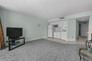 Golden Mile oceanfront 1-bedroom condo located in one of Myrtle - photo 6