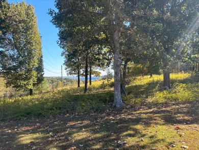 Sitting on a high peninsula in Janian Hills Subdivision, this 3 - photo 32