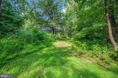 A Rare Lake Anna Legacy Property - 5.2 Acres, 600 Feet of - photo 47