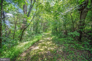 A Rare Lake Anna Legacy Property - 5.2 Acres, 600 Feet of - photo 48