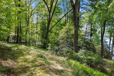 This exceptional Lake Toxaway property offers a rare opportunity - photo 6