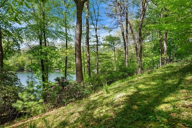 This exceptional Lake Toxaway property offers a rare opportunity - photo 7