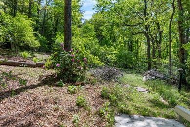 This exceptional Lake Toxaway property offers a rare opportunity - photo 8