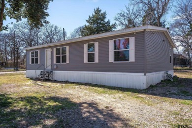 Lake Home For Sale in Murchison, Texas
