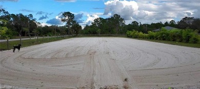 Collier County-Golden Gate Estates- BUILD a luxury custom home - photo 29